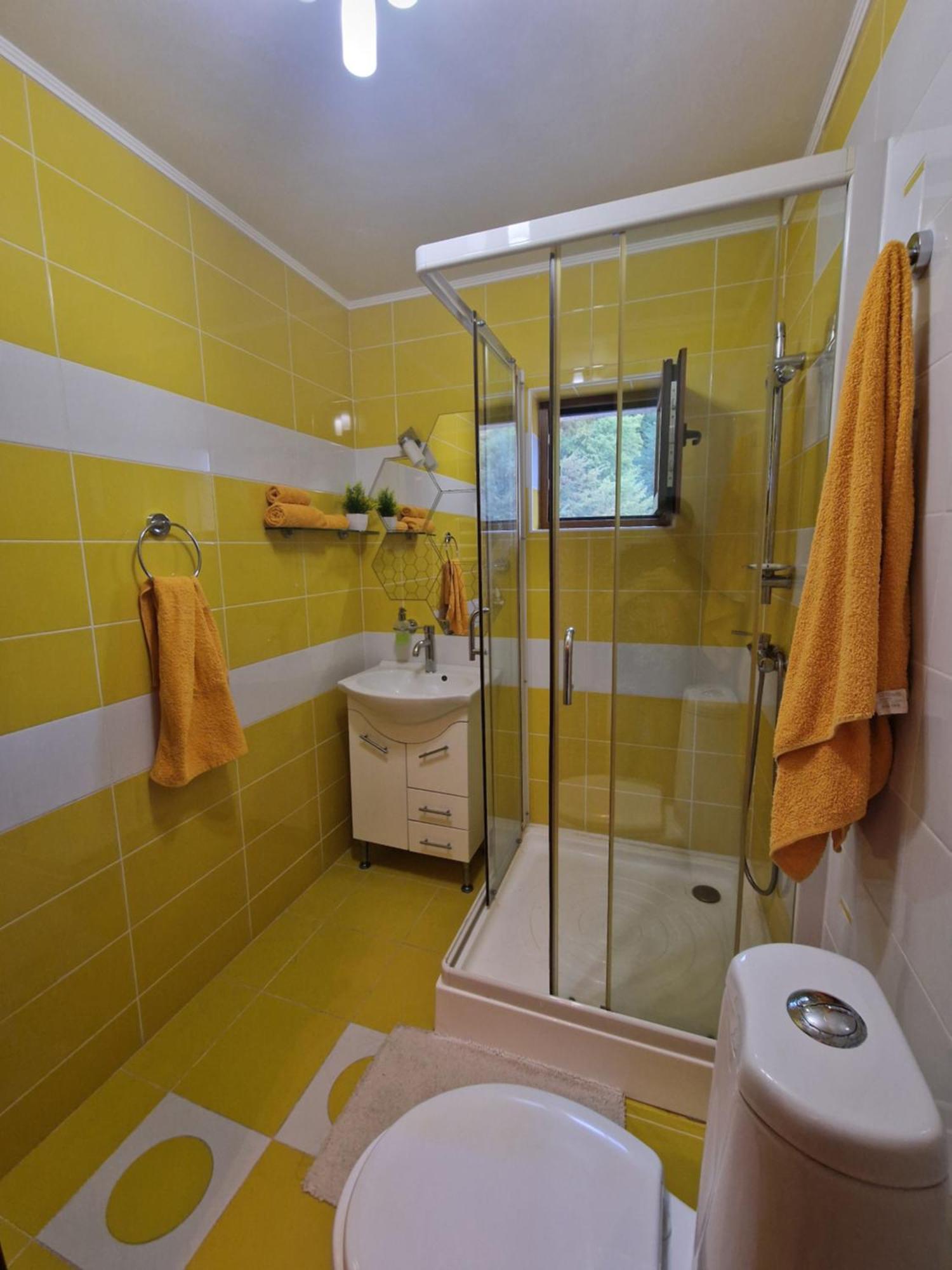 Apartament Red & Yellow สลานิก-มอลโดวา ห้อง รูปภาพ